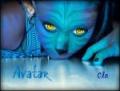 Clamy's foto 
