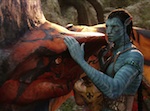 jake toruk's foto 